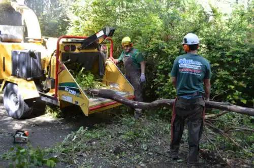 tree services Karnak